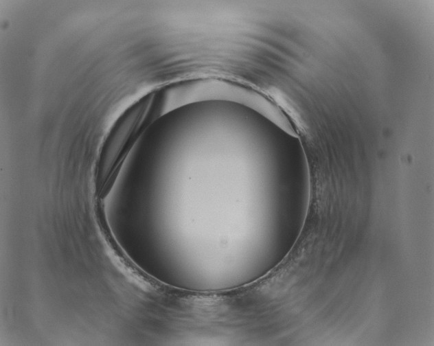 X0000090461134200707131247