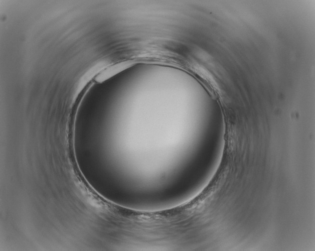 X0000090461138200707131247
