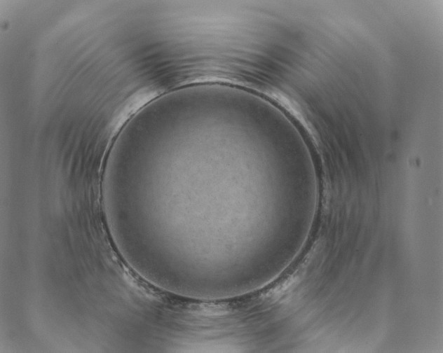 X0000090461145200707131247