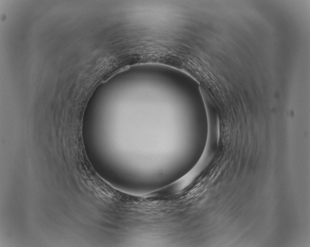 X0000090461153200707131246