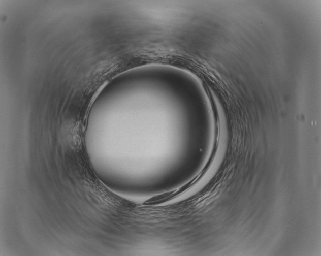 X0000090461156200707131246