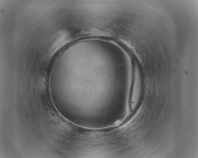 X0000090461163200707131246