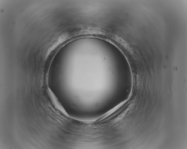 X0000090461165200707131246