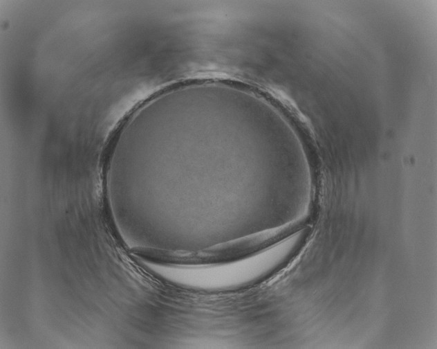 X0000090461167200707131246