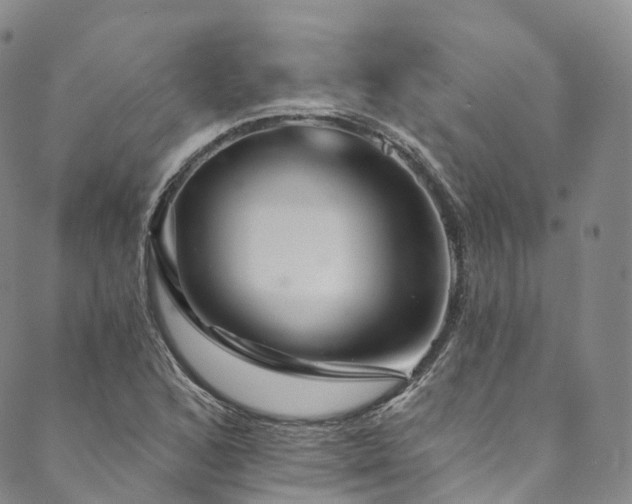 X0000090461168200707131246