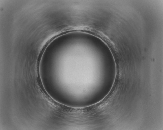 X0000090461174200707131246