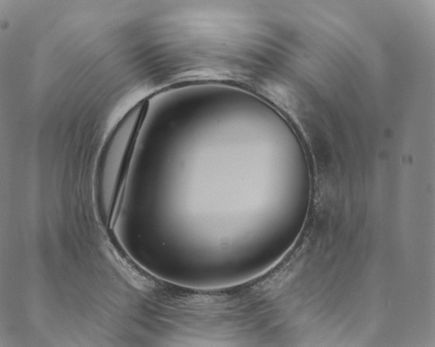 X0000090461179200707131246