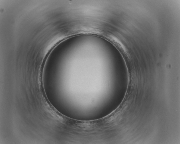 X0000090461182200707131246