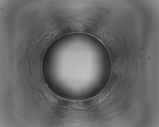 X0000090461201200707131245