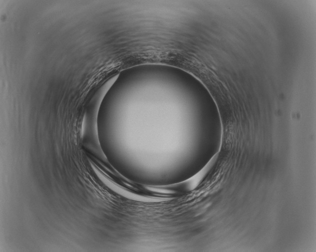 X0000090461202200707131245