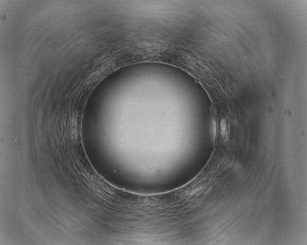 X0000090461203200707131245