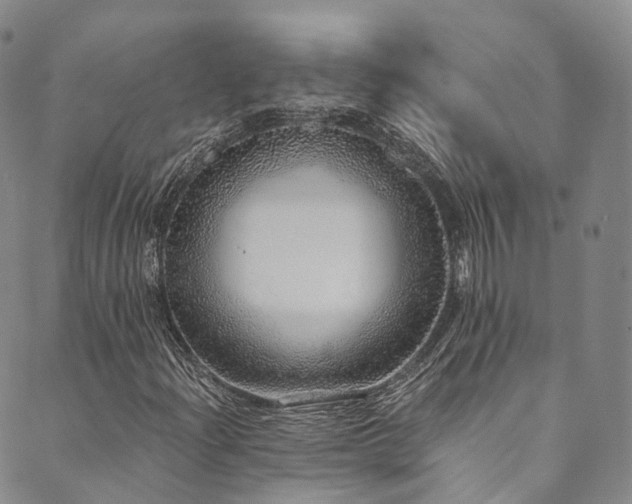 X0000090461204200707131245