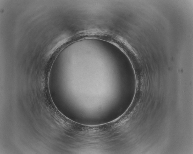 X0000090461213200707131245