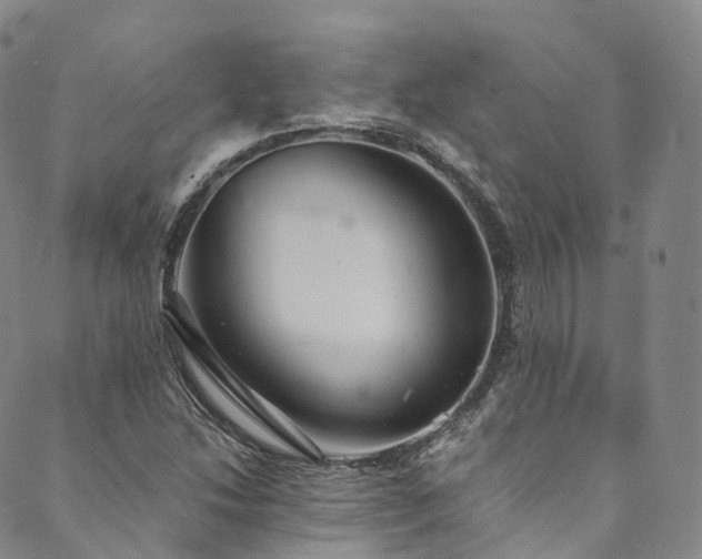 X0000090461214200707131245