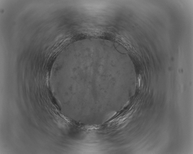 X0000090461251200707131245