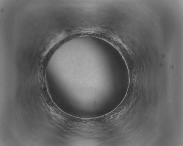 X0000090461256200707131244