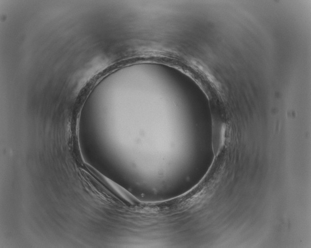 X0000090461261200707131244