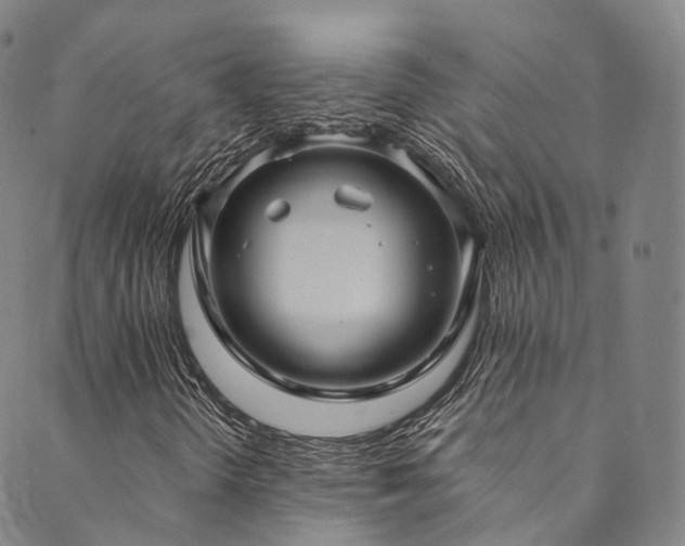 X0000090461298200707131243