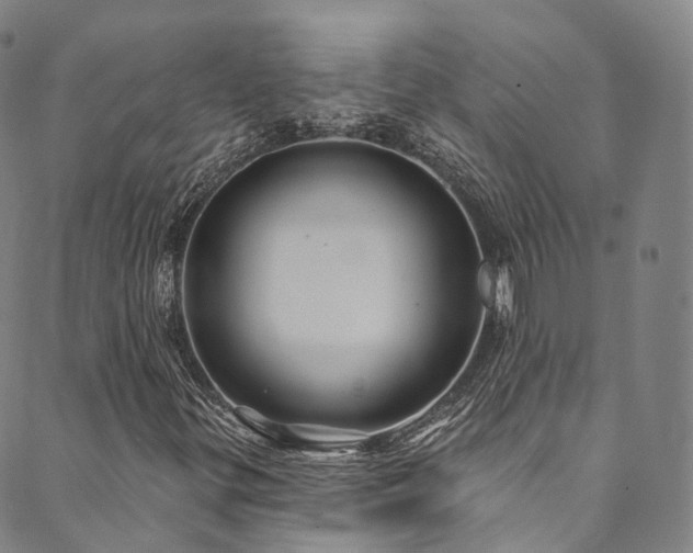 X0000090461299200707131243