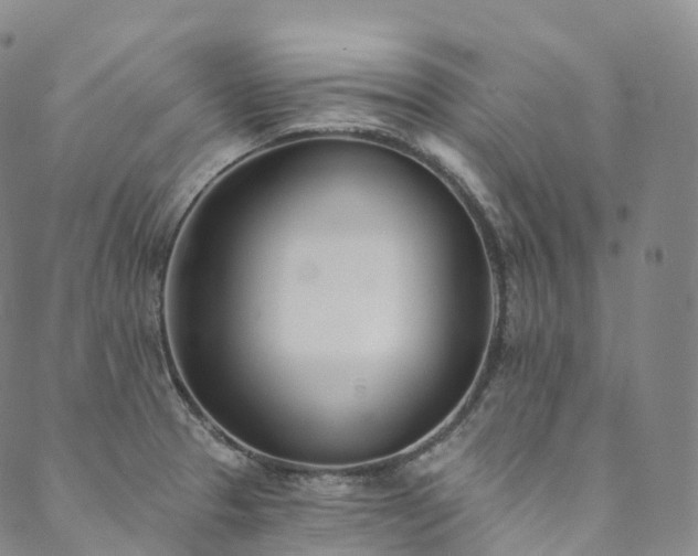 X0000090461329200707131244