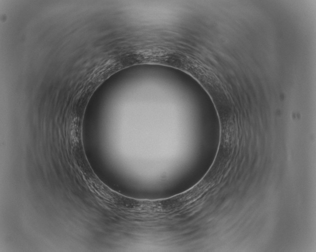 X0000090461346200707131243