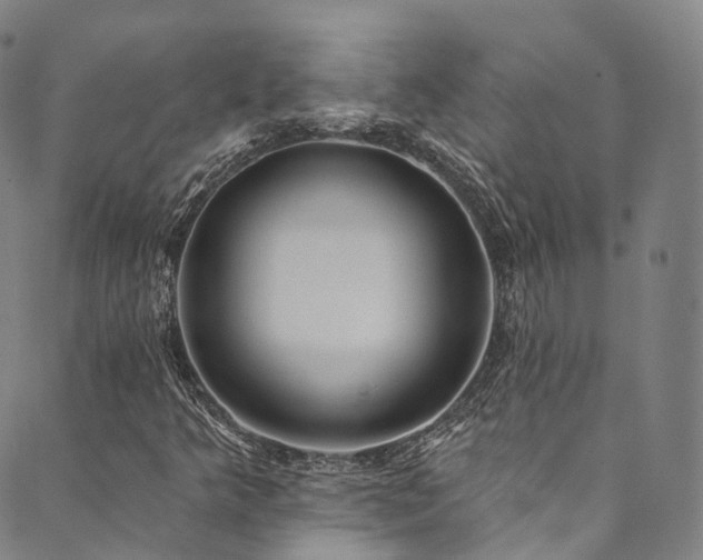 X0000090461349200707131243