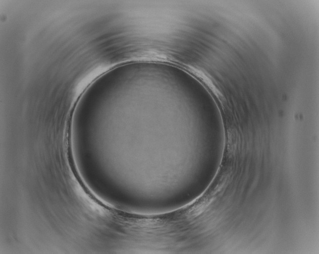 X0000090461387200707131242