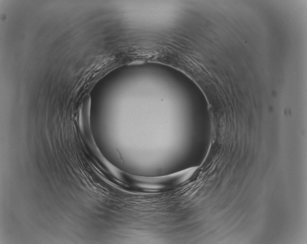 X0000090461394200707131241
