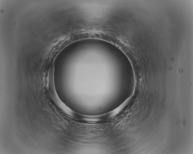 X0000090461398200707131242