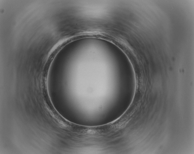 X0000090461412200707131242