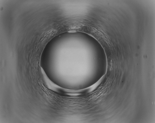 X0000090461441200707131241