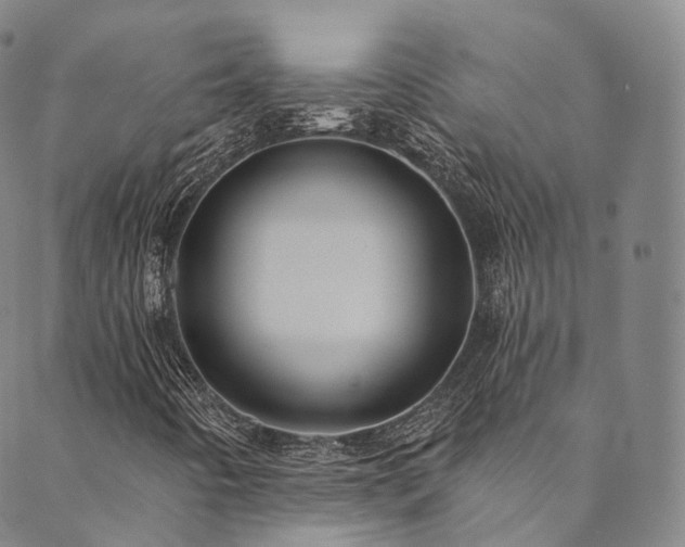 X0000090461442200707131241