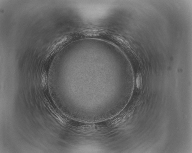 X0000090461444200707131241
