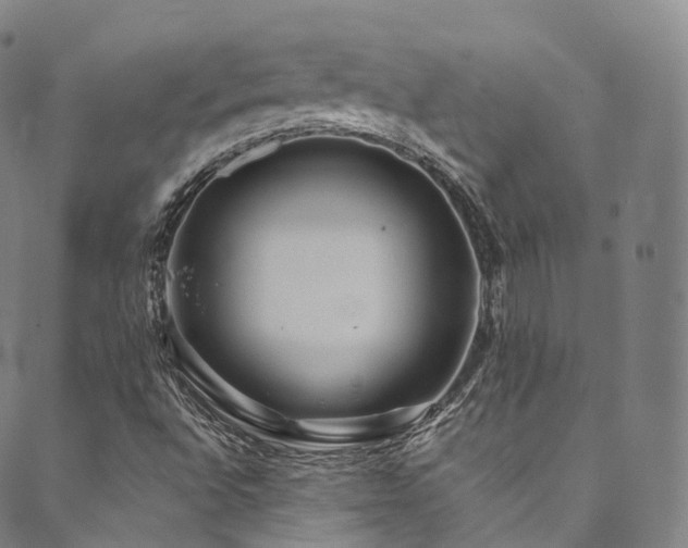 X0000090461496200707131240