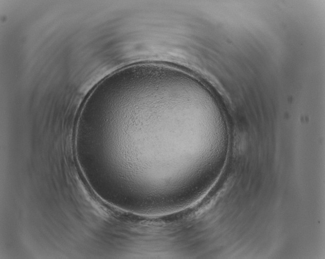 X0000090461513200707131240