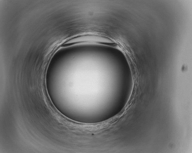 X0000090460001200707201343
