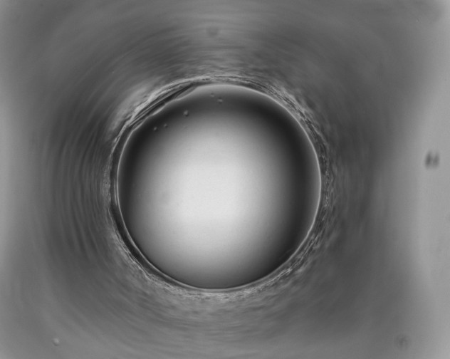 X0000090460002200707201343