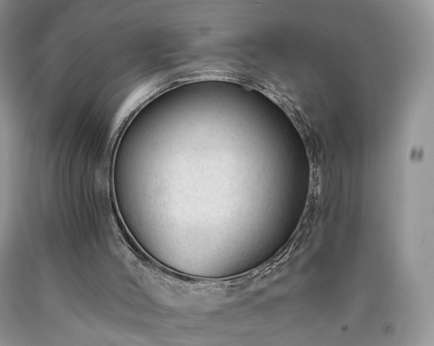 X0000090460004200707201343