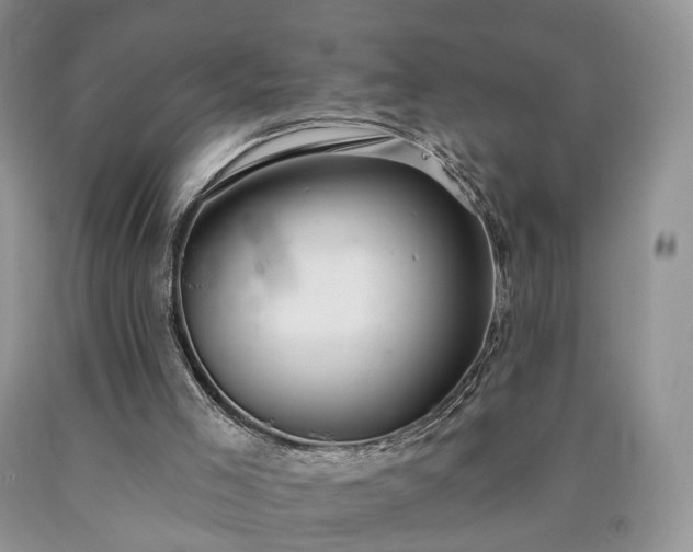 X0000090460005200707201343