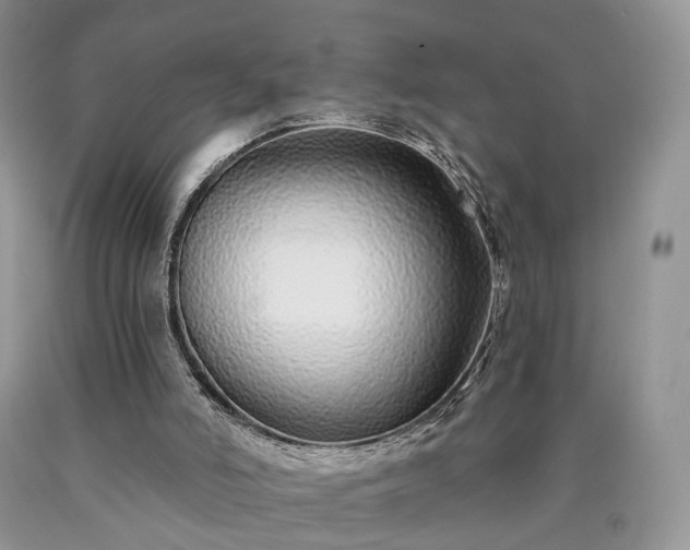 X0000090460006200707201343