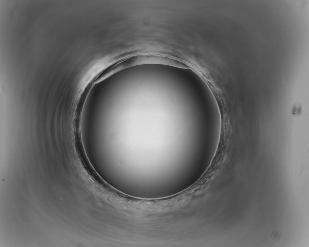 X0000090460007200707201343