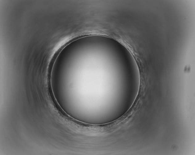 X0000090460008200707201343