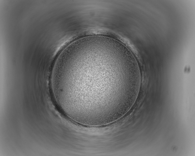 X0000090460010200707201343