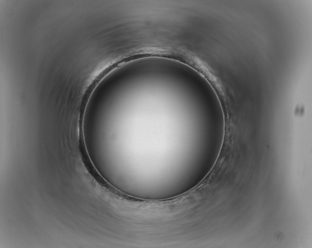 X0000090460011200707201343