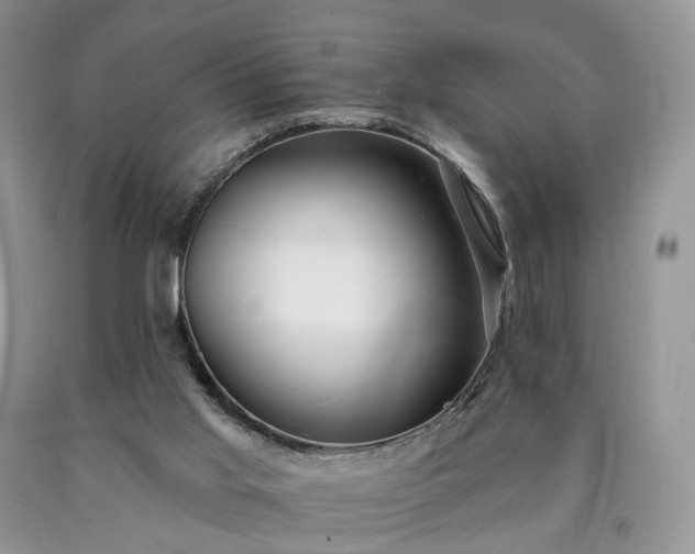 X0000090460013200707201343