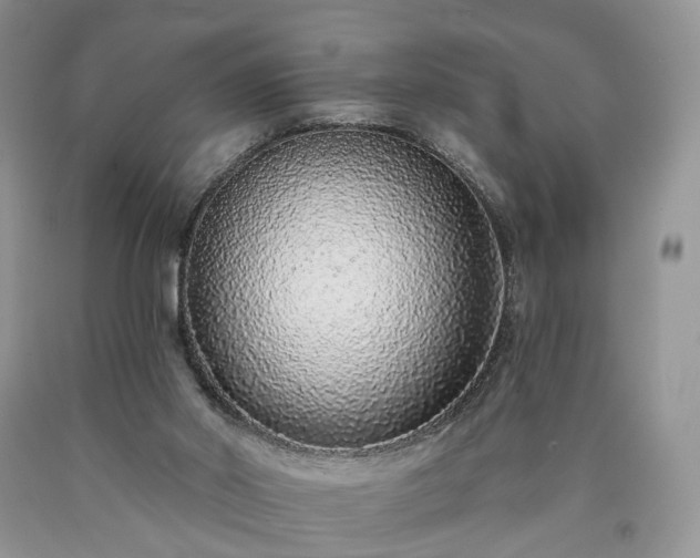 X0000090460014200707201343