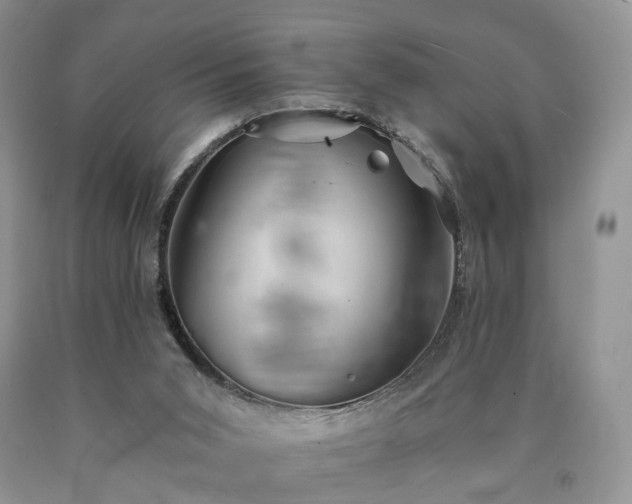 X0000090460015200707201343