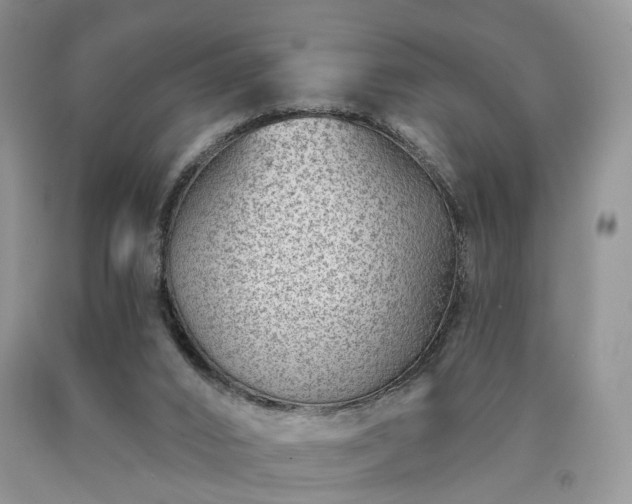 X0000090460016200707201343