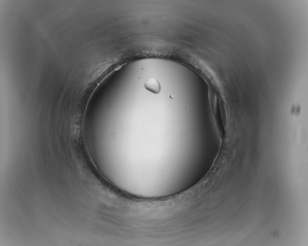 X0000090460017200707201343