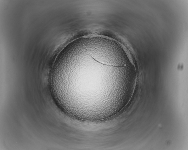 X0000090460018200707201343